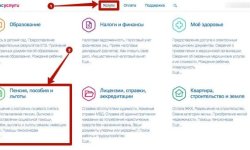 Как узнать свой льготный стаж по вредности через Госуслуги: как узнать вредный стаж через интернет
